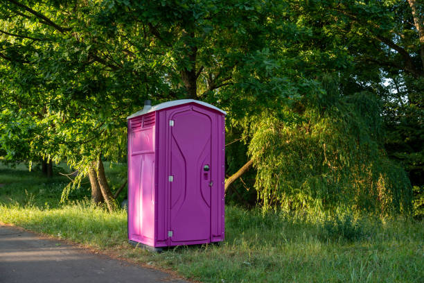 Best Sanitation services for porta potties  in Willow, AK